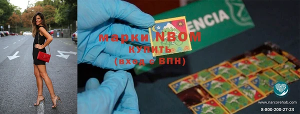 прущие грибы Абинск