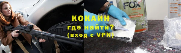 прущие грибы Абинск
