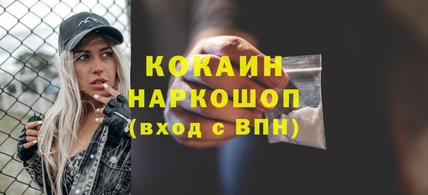 прущие грибы Абинск