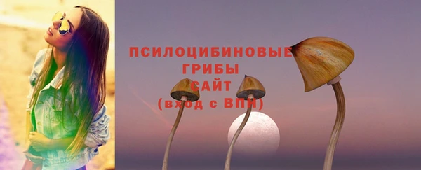 spice Абдулино