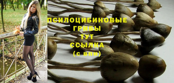 твердый Абаза