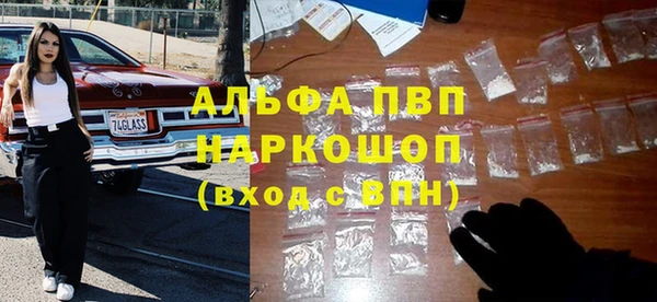 прущие грибы Абинск
