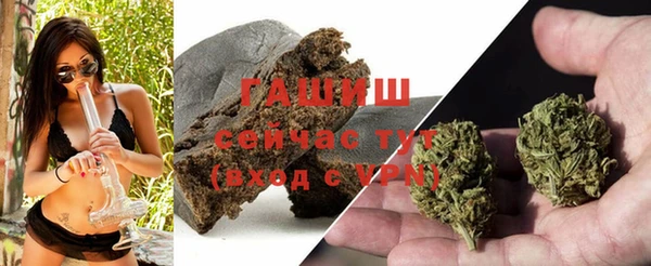 прущие грибы Абинск