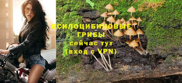 spice Абдулино