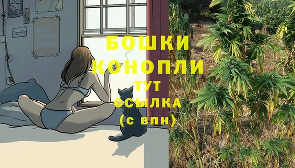 spice Абдулино