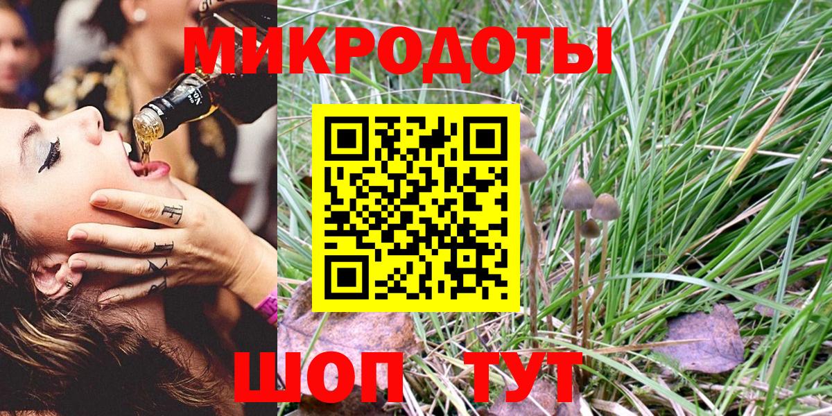 Галлюциногенные грибы Psilocybe Омск